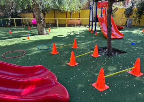 Fundación Miradas Compartidas